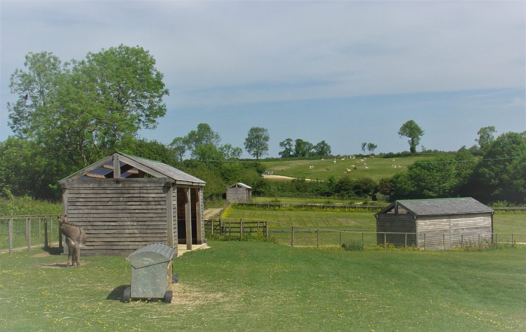 View of three Green Oak Field Shelters